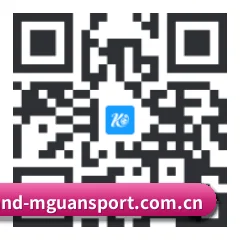 iOS 苹果生态原生版 二维码